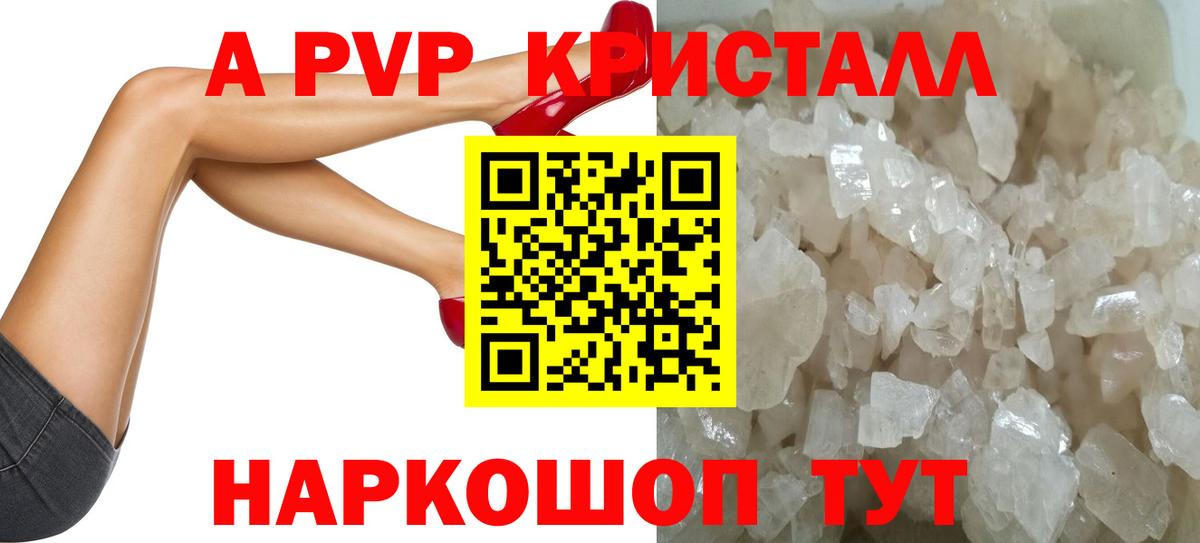 A-PVP СК КРИС Кизилюрт