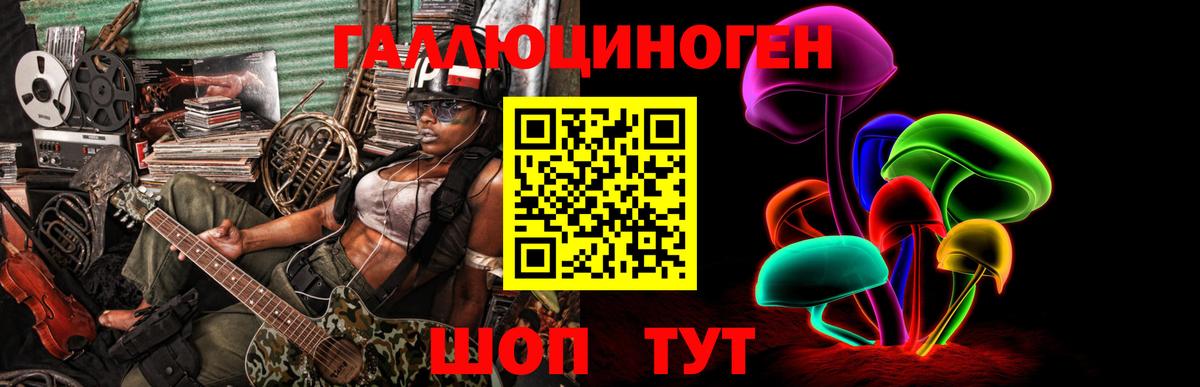 Кизилюрт  Псилоцибиновые грибы мухоморы  Вход с VPN 