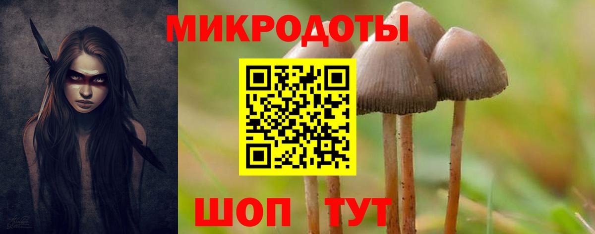Галлюциногенные грибы прущие грибы Кизилюрт